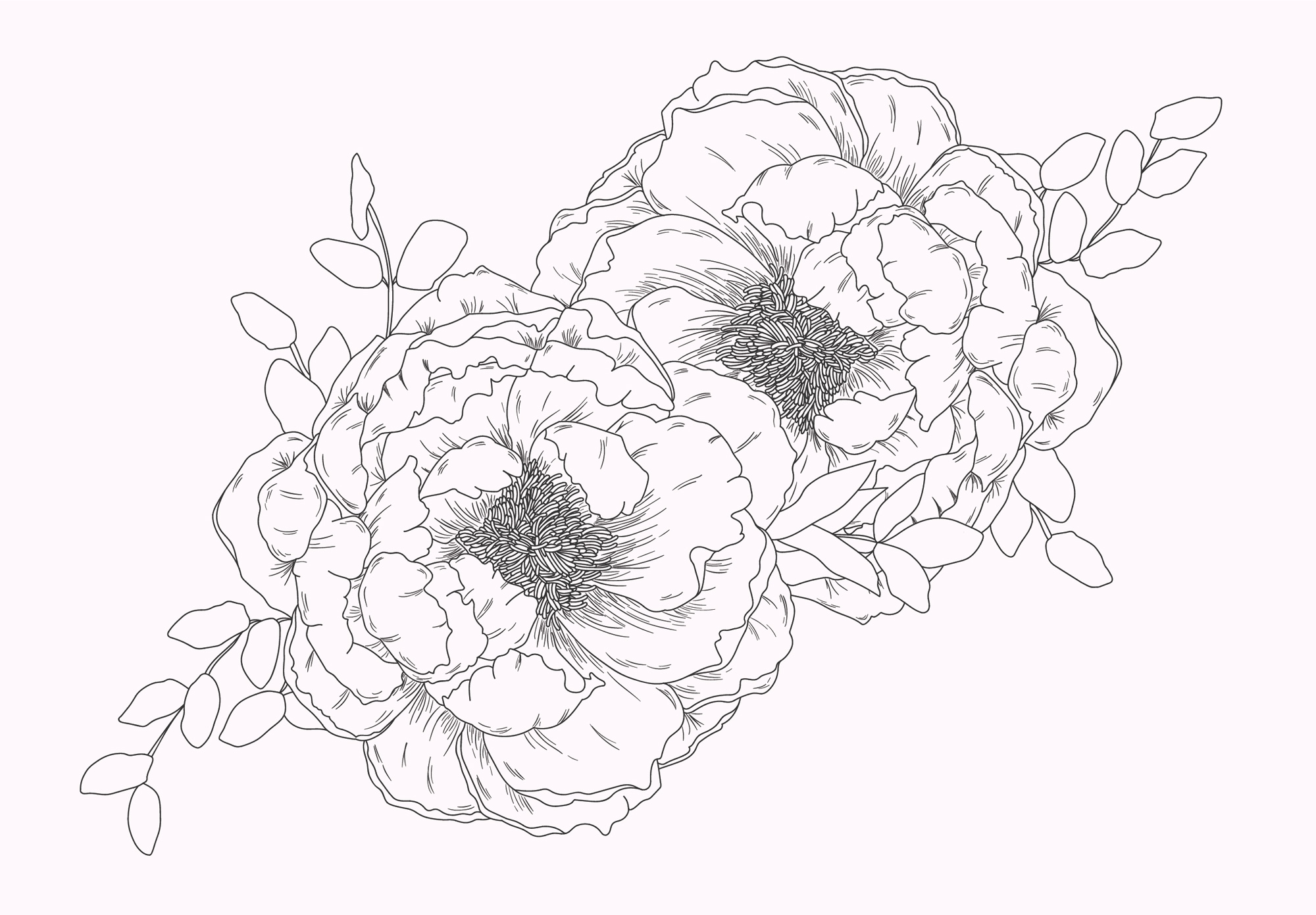 Photo from an invitation design that I made for a client