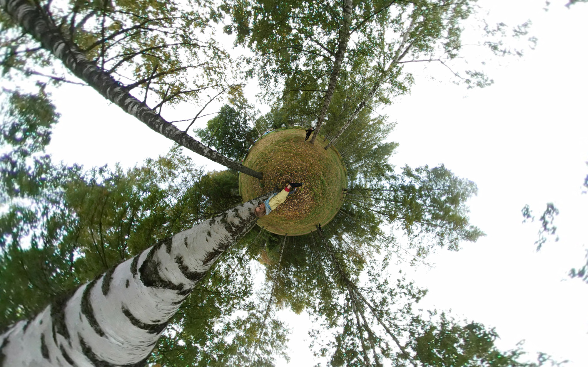 360 photo from a XR experiment in Finland